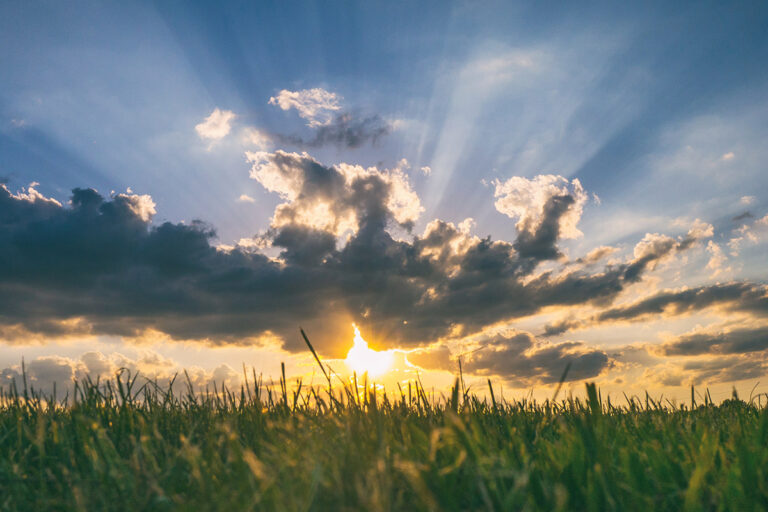 President’s Corner: A New Year of Hope, Promise and Change
                      