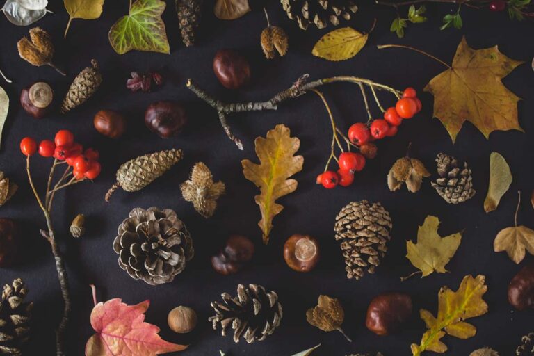 President’s Corner: Renewal, Reflection and Finishing Strong
                      